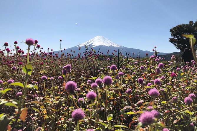 Mount Fuji Full Day Sightseeing Tour From Tokyo - Preparing for the Tour
