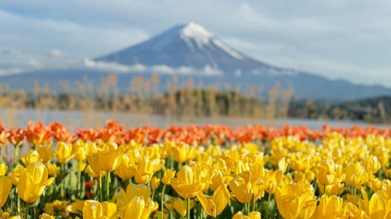 MOUNT FUJI FULL DAY TOUR ALONG WITH A ENGLISH GUIDE - Group Size and Duration