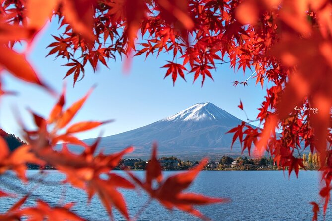 Mount Fuji Full Day Tour Form Tokyo Lake Kawaguchi & Yamanaka - Meeting and End Point