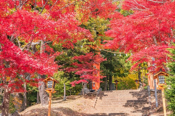 Mount Fuji Full Day Tour Form Tokyo Lake Kawaguchi & Yamanaka - Tour Operator and Guarantee