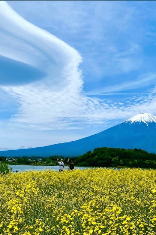 Mount Fuji Full Day Tour With Private Guide With Pick-Up - Customization Options