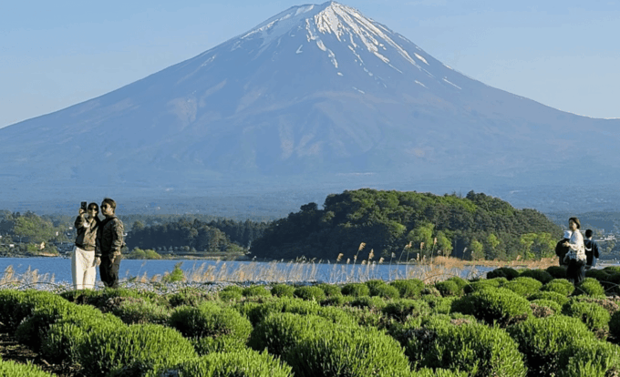 Mount Fuji Full Day Tour With Private Guide With Pick-Up - Cancellation Policy