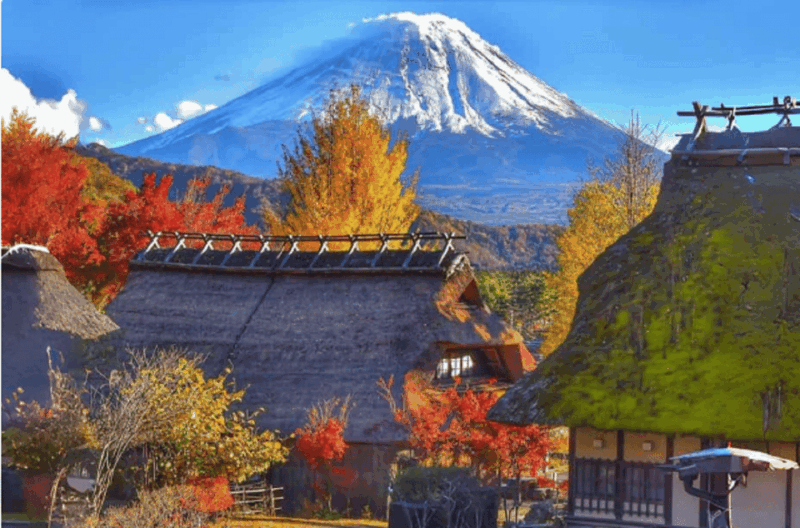 Mount Fuji Full Day Tour:Majestic Views and Cultural Wonders - Key Points