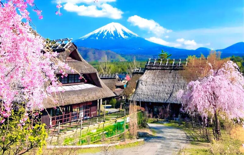 Mount Fuji Full Day Tour:Majestic Views and Cultural Wonders - Key Attractions Description