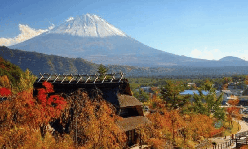 Mount Fuji Full Day Tour:Majestic Views and Cultural Wonders - Oshino Hakkai