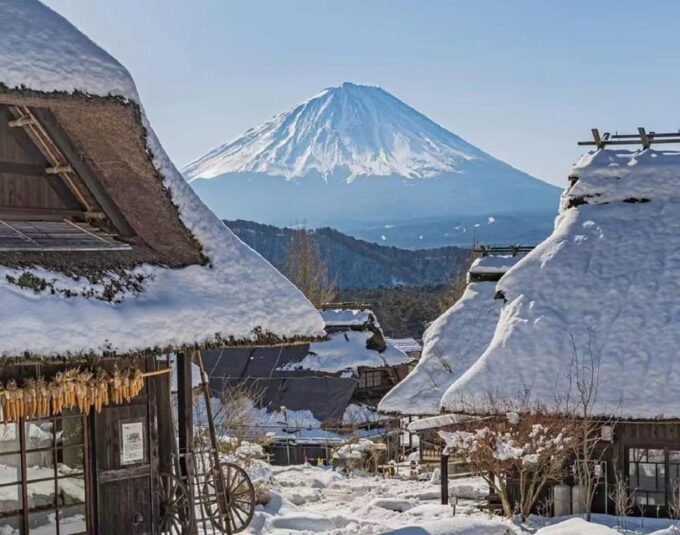 Mount Fuji Full Day Tour:Majestic Views and Cultural Wonders - Included Services and Important Information