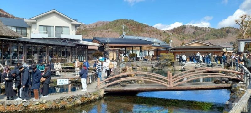 Mount Fuji Full Package One Day Customize Private Tour - Key Points