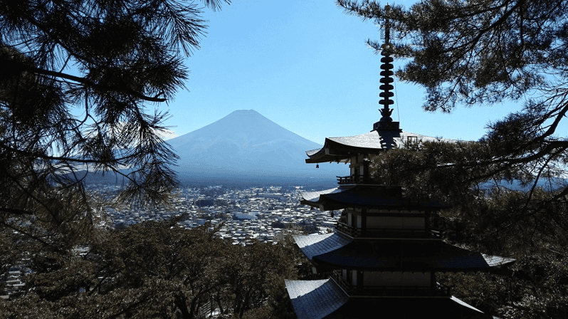 Mount Fuji Full Package One Day Customize Private Tour - Private Experience