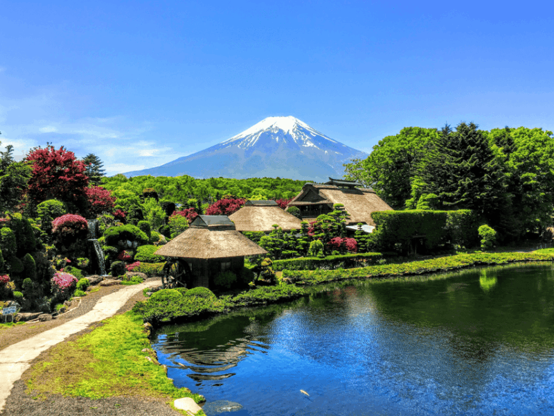 Mount Fuji Full Package One Day Customize Private Tour - What to Bring and Not Allowed