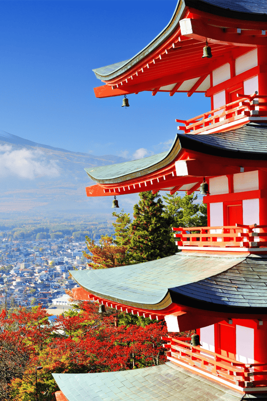 Mount Fuji Full Package One Day Customize Private Tour - Suitability