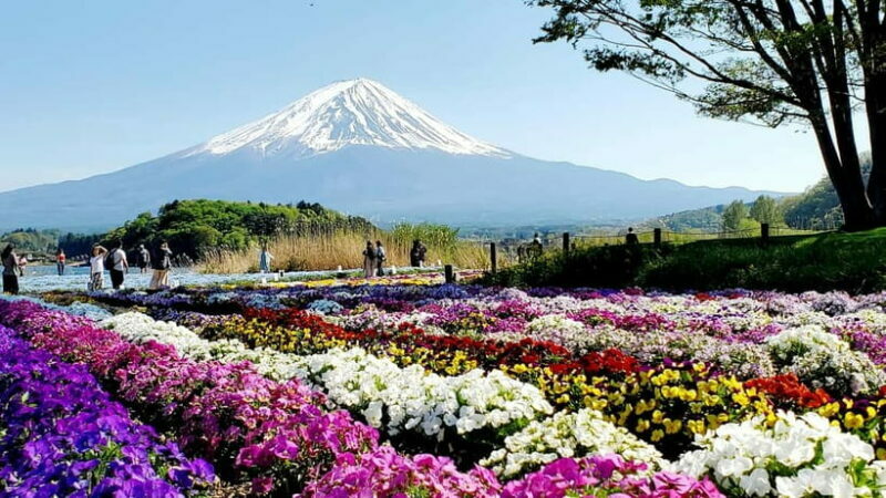 Mount Fuji & Hakone Full-Day Private Tour (Customizable) - The Itinerary: What to Expect on This Full-Day Journey