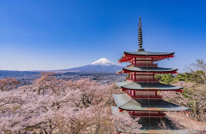 Mount Fuji & Hakone One Day Private Tour With English Driver - Key Points