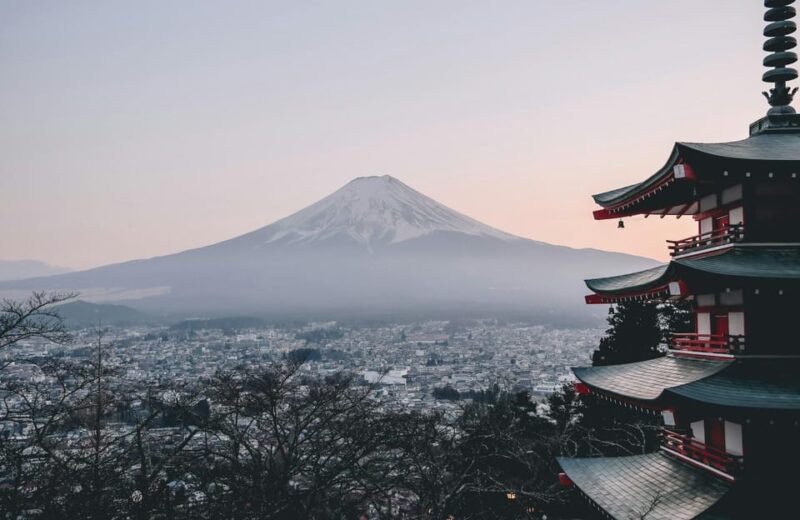 Mount Fuji Hakone Private Day Tour English Speaking Driver - Pickup and Dropoff Details