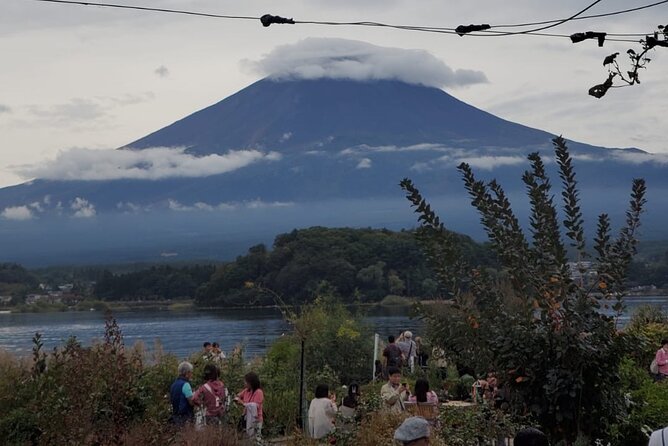 Mount Fuji & Hakone Private Guided Tour - What to Expect