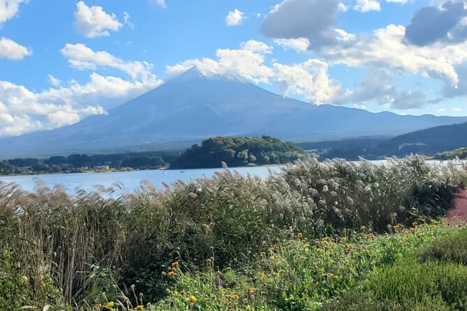 Mount Fuji & Hakone Private Guided Tour - Highlights of the Tour
