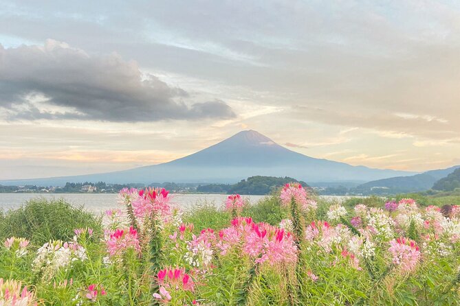 Mount Fuji/Hakone/Tokyo Private Charter Car Tour 10 Hours - Pickup and Drop-off