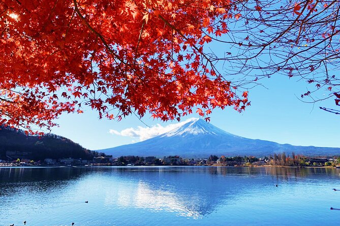 Mount Fuji/Hakone/Tokyo Private Charter Car Tour 10 Hours - Participation Information
