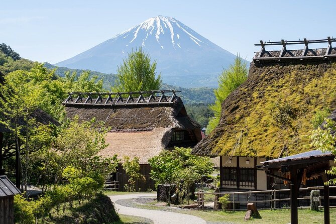 Mount Fuji/Hakone/Tokyo Private Charter Car Tour 10 Hours - Tour Itinerary and Highlights