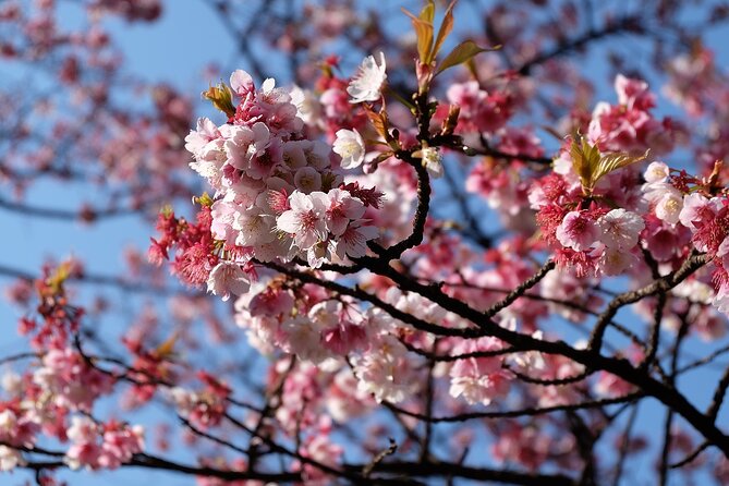 Mount Fuji/Hakone/Tokyo Private Charter Car Tour 10 Hours - Included and Additional Fees