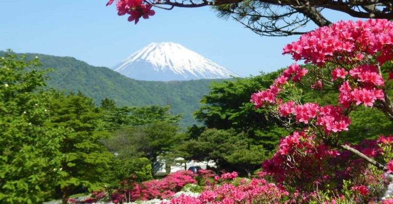 Mount Fuji & Hakone Tour - Itinerary