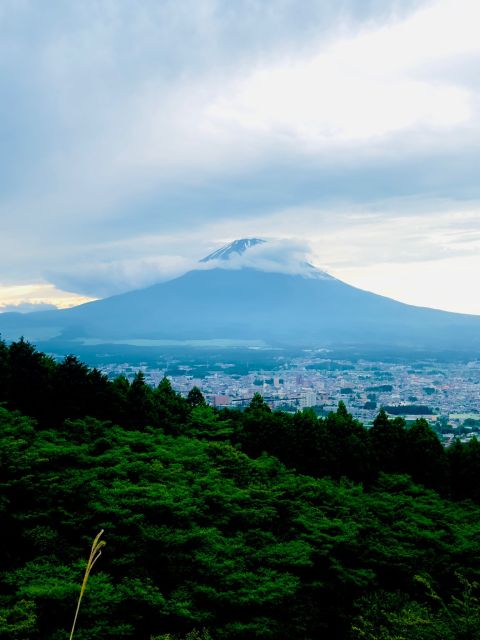 Mount Fuji Hakone With English-Speaking Guide - English-Speaking Guide Service