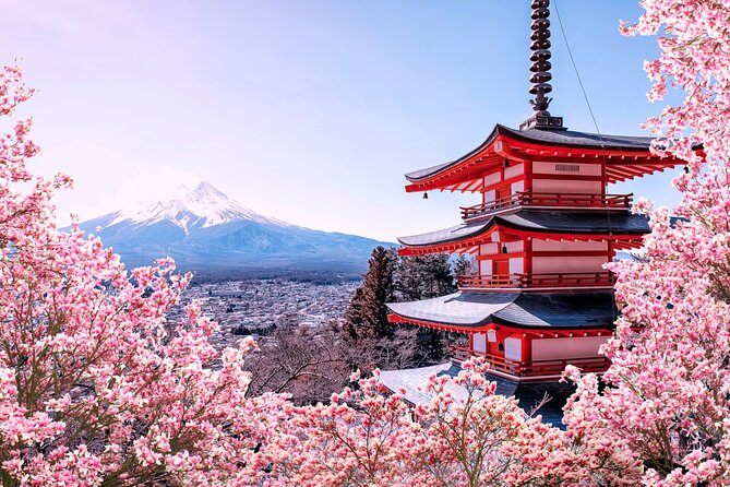 Mount Fuji Kawaguchi/Hakone/Yokohama Tokyo Customized Private Car - Key Points
