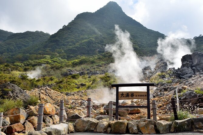 Mount Fuji Kawaguchi/Hakone/Yokohama Tokyo Customized Private Car - Policies