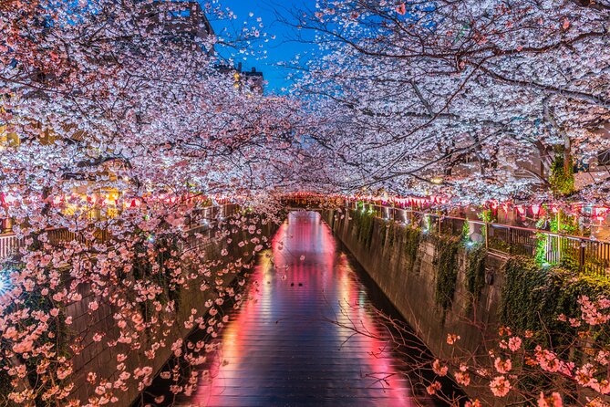 Mount Fuji Kawaguchi/Hakone/Yokohama Tokyo Customized Private Car - Infant Seats and Accessibility