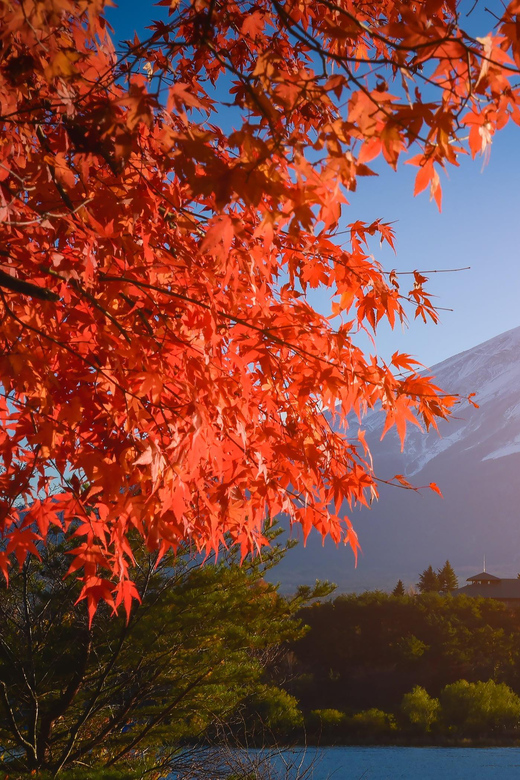 Mount Fuji: Mt.Fuji Private Day Tour English Speaking Driver - Important Information