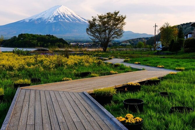Mount Fuji One Day Tour From Tokyo Japan - Inclusions