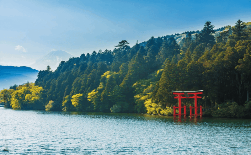 Mount Fuji or Hakone Private Customized Group Tour - Itinerary A: A Glimpse of Fujis Majesty