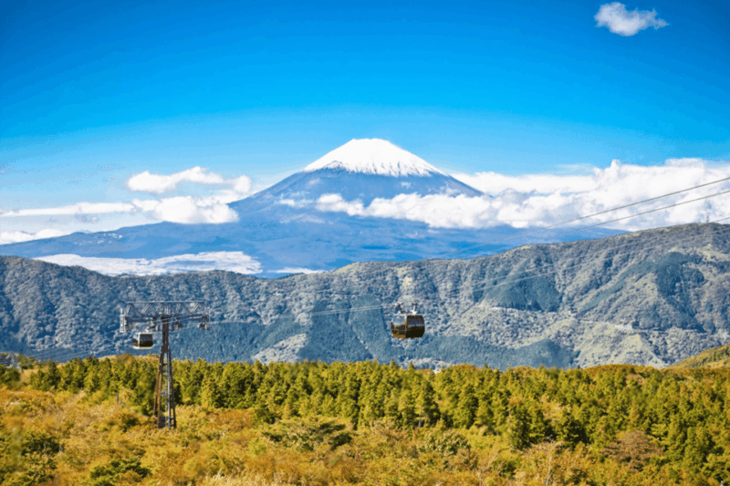 Mount Fuji or Hakone Private Customized Group Tour - Mt. Fuji (5th Station)