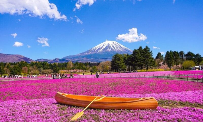 Mount Fuji, Oshino Hakkai and Onsen 1-Day Trip From Tokyo - Destination Details