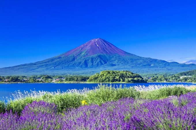 Mount Fuji, Oshino Hakkai and Onsen 1-Day Trip From Tokyo - Weather Advisory and Policies