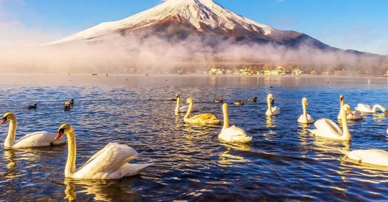 Mount Fuji: Oshino Hakkai, Hakone, Owakudani Cable Car Day Trip - Scenic Hakone Pirate Ship Cruise