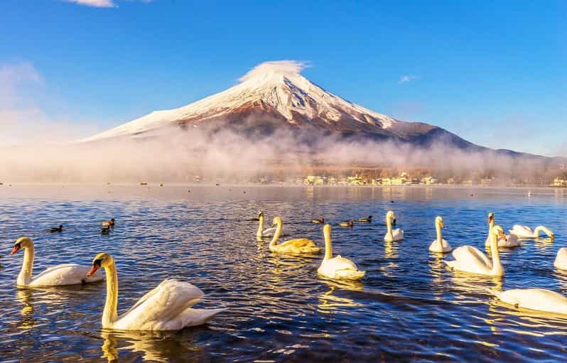 Mount Fuji: Oshino Hakkai, Hakone, Owakudani Cable Car Day Trip - Panoramic Hakone Ropeway Journey