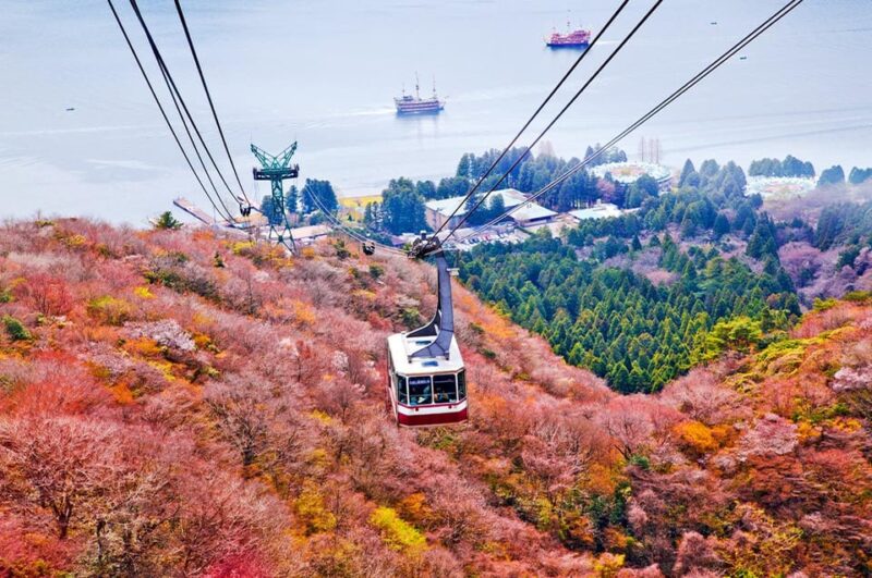 Mount Fuji: Oshino Hakkai, Hakone, Owakudani Cable Car Day Trip - Picturesque Yamanakako Swan Lake