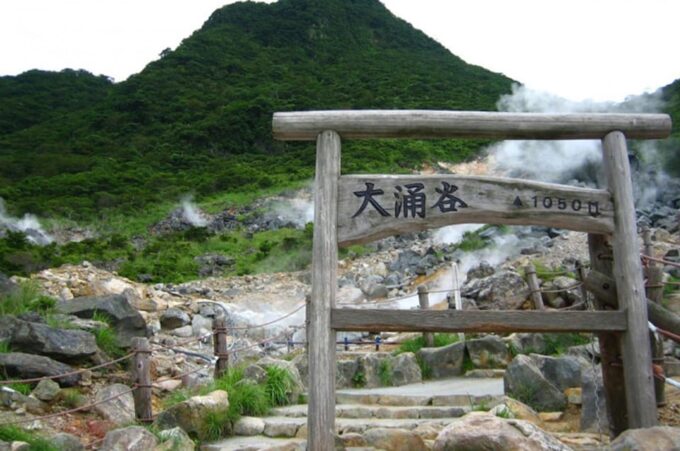 Mount Fuji: Oshino Hakkai, Hakone, Owakudani Cable Car Day Trip - Tour Details and Logistics
