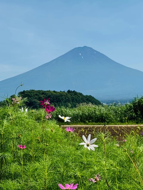 Mount Fuji, Oshino Hakkai, Kawaguchi Lake, 1-Day Private Tour - Inclusions and Cancellation Policy