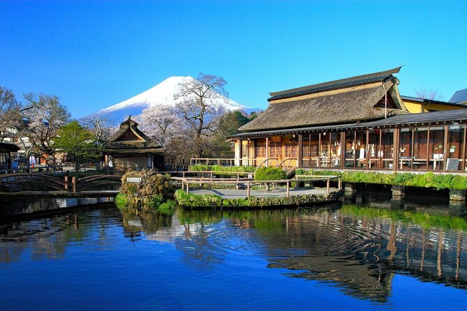 Mount Fuji Private Custom Tour From Tokyo - Meeting and Pickup Arrangements