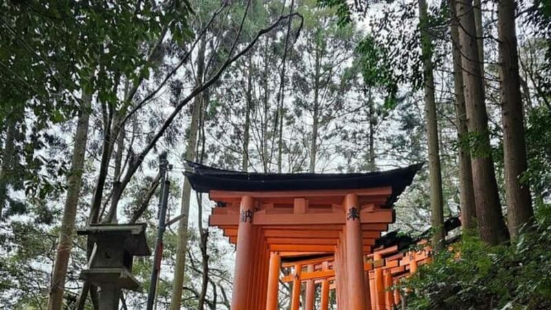 Mount Fuji Private Day Tour customized with English driver - Practical Details and Value
