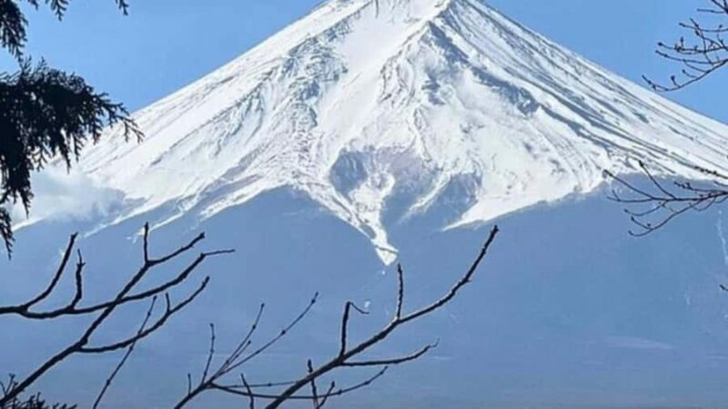 Mount Fuji Private Day Tour customized with English driver - Who Should Book This Tour?