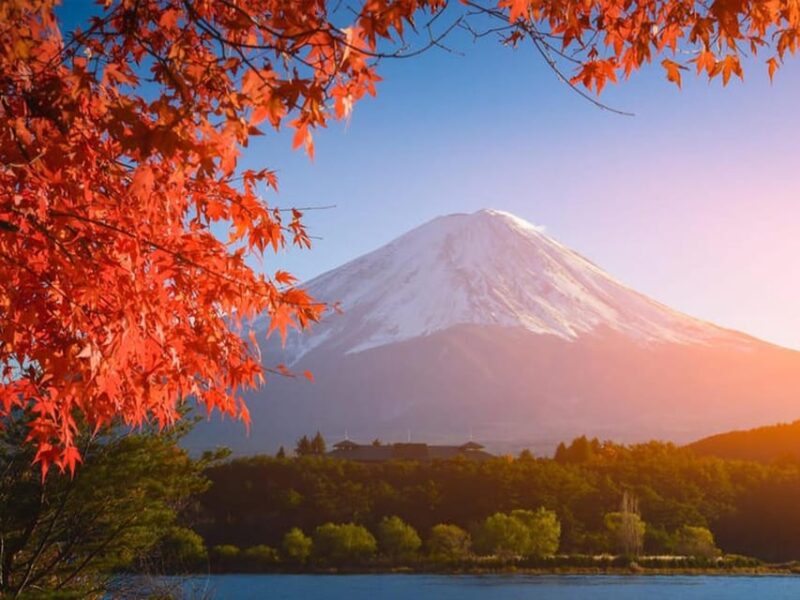 Mount Fuji: Private Day Tour to MT Fuji With Cable Car Ride - Important Information and Restrictions