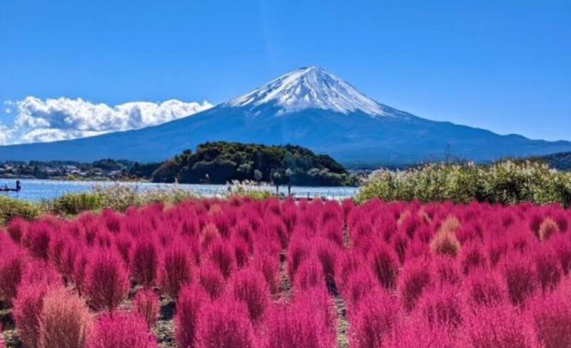 Mount Fuji Private Day Trip Tours - Inclusions and Whats Covered