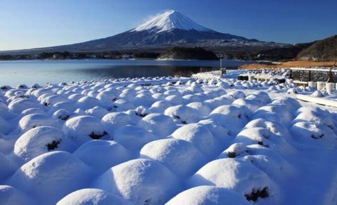 Mount Fuji Private Day Trip Tours - Flexible Schedule and Pace