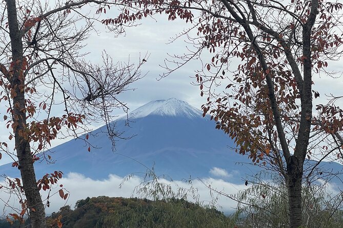 Mount Fuji Private Full Day Customize Tour With English Driver - Tour Overview