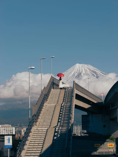 Mount Fuji Private Full Day Tour From Tokyo by Car or Van - Pickup and Drop-off Details