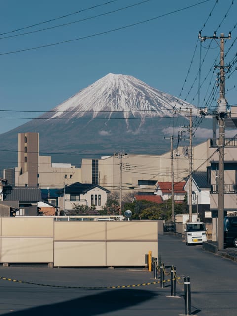 Mount Fuji Private Full Day Tour From Tokyo by Car or Van - Languages and Driver Support