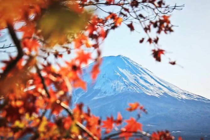Mount Fuji Private Tour - Highlights of the Tour