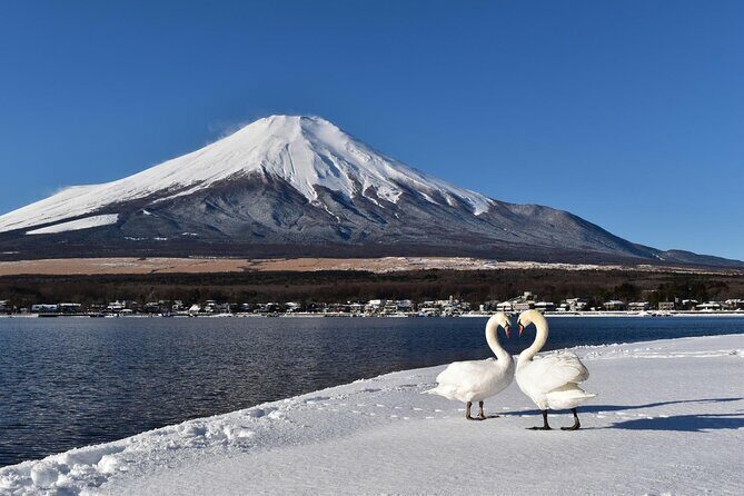 Mount Fuji Private Tour With English Guide Fully Customizable - FAQs